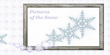 pictures of snow c
