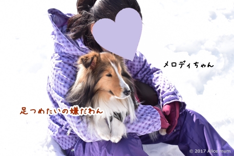 7m - コピー