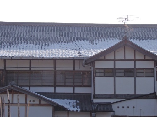 P1200022.jpg