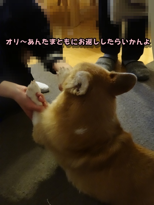 DSC05286.jpg