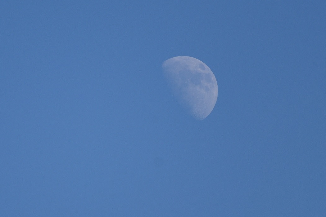 moon(800).jpg