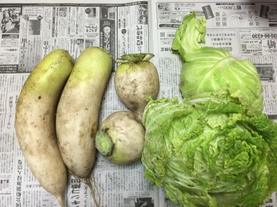 本田さん野菜