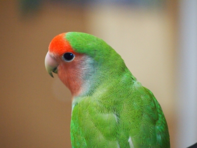 201605061208587ae.jpg