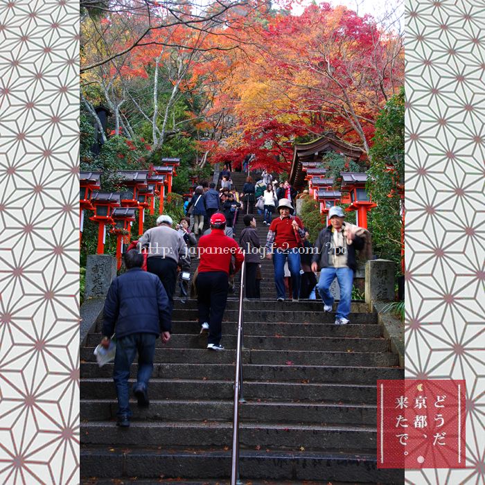 #Kyoto #autumn #colors #leaves #shrine #鞍馬 #worldHeritage #世界遺産 #京都 #紅葉 #DiscoverJAPAN #PeacefulPicturesArePriceless #picTARO #PPAP #PicturesPowerAllPeople #DiscoveryChannel #NationalGeographic #visitJAPAN #JapanGuide #NaturePhoto #sightSeeing