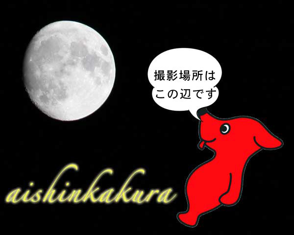 9愛新覚羅様