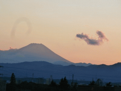 富士山Ｓ