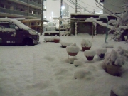 初積雪-2