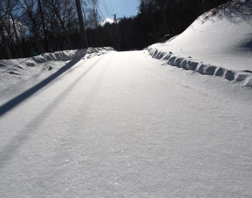 新雪の道
