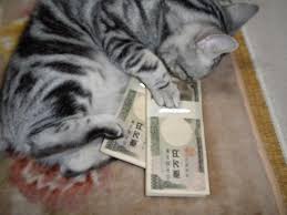お金を大事にする猫