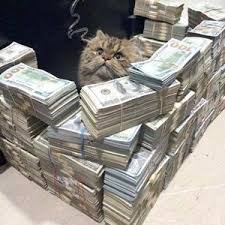 億万長者の金持ち猫